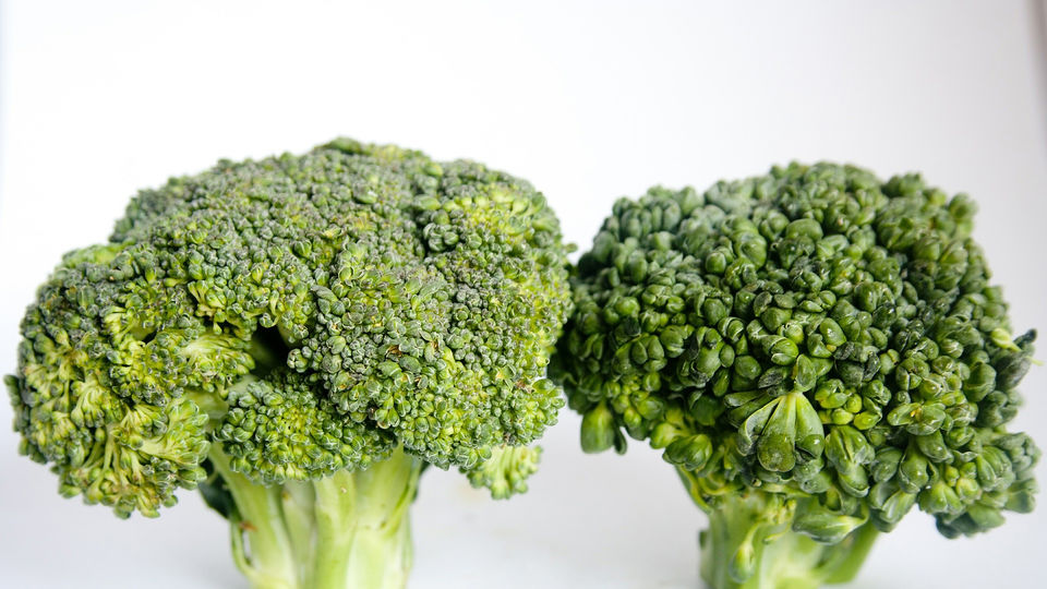 broccoli (plural)