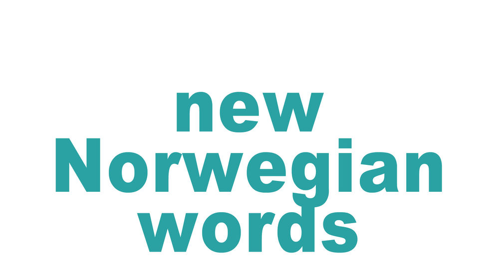 new Norwegian words