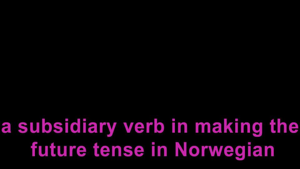 a subsidiary verb in making the future tense in Norwegian