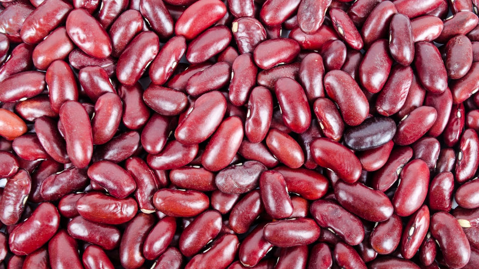 a bean