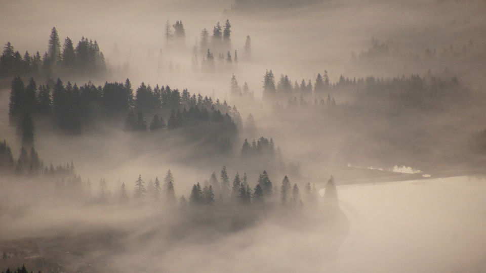 a mist